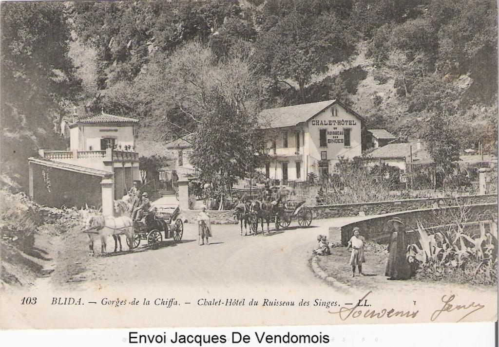 BLIDA GORGES DE LA CHIFFA.JPG